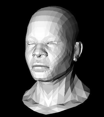 image produced by renderer